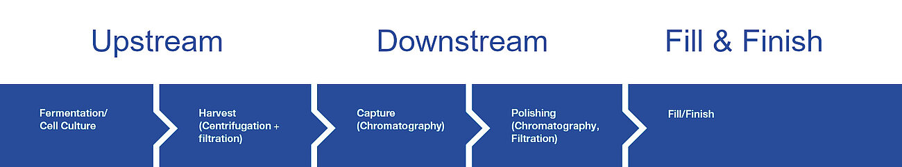 Biopharma production stream at Dr. Paul Lohmann